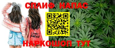 стафф Будённовск