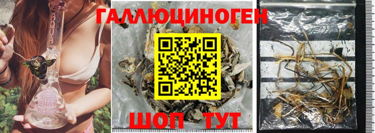 Фурманов  Псилоцибиновые грибы Magic Shrooms  Вход с VPN  Псилоцибиновые грибы Psilocybine cubensis 