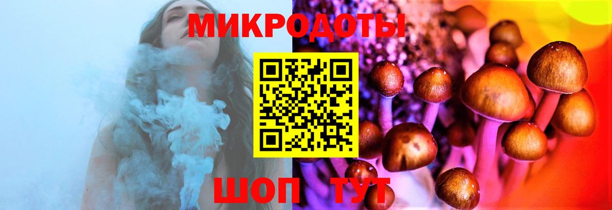 Псилоцибиновые грибы Magic Shrooms Фурманов